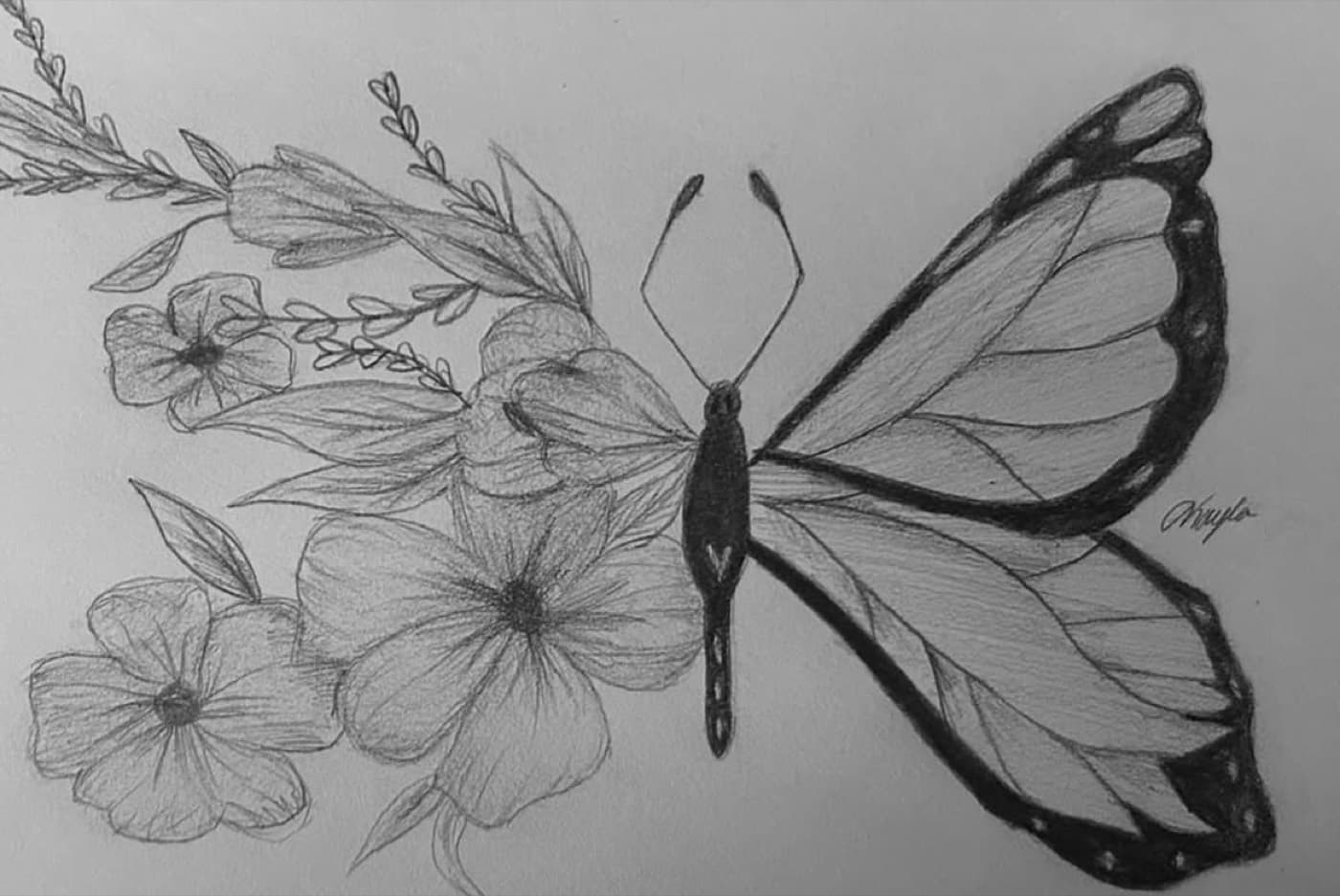 Pencil drawing of a monarch butterfly whose left wing dissolves into flowers.