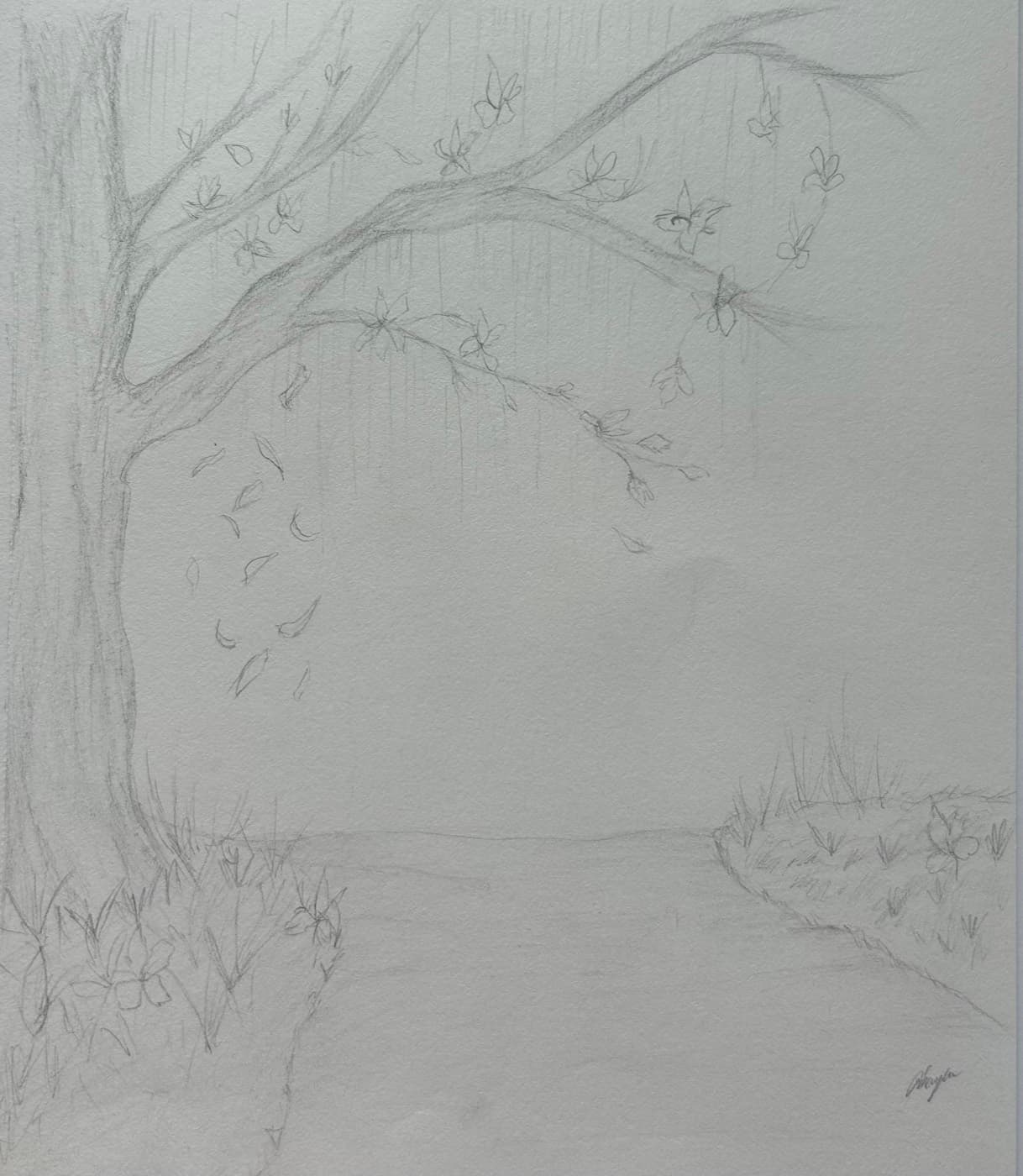 Pencil sketch of a tree shedding leaves over a quiet path.