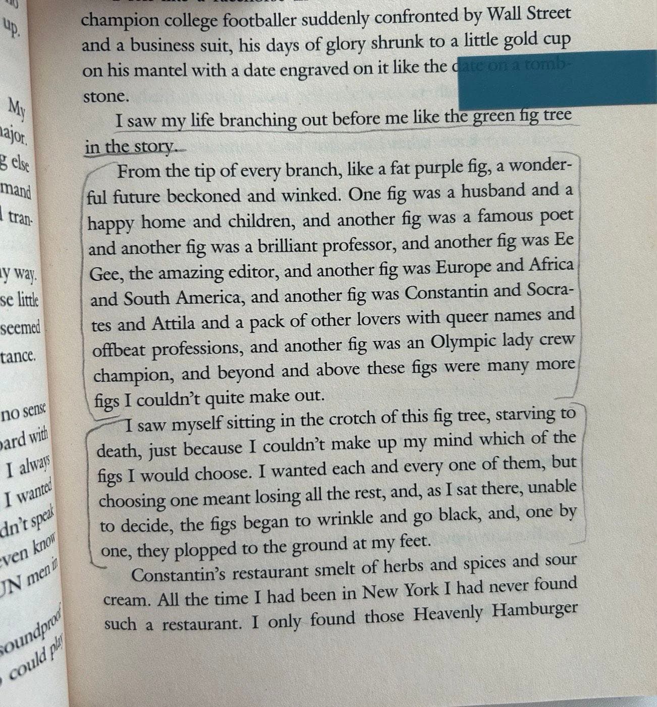 Book page from The Bell Jar with the fig tree passage underlined and bracketed in pencil.
